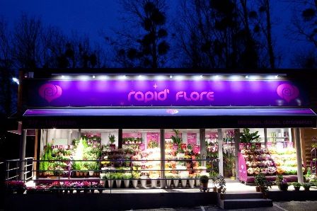 magasins de fleurs rapid'flore