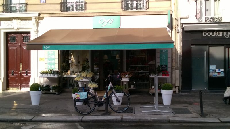 Oya Fleurs